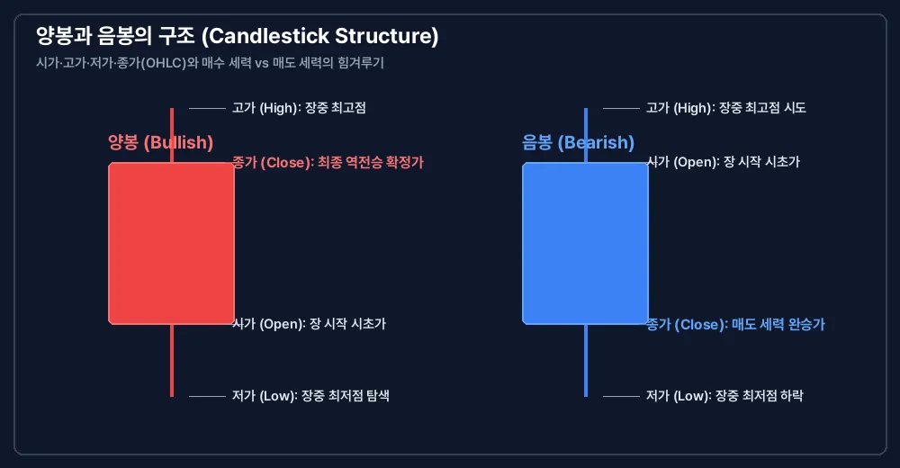 양봉과 음봉의 구조